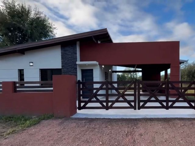 WhatsApp Image 2026-03-28 at 19.12.55